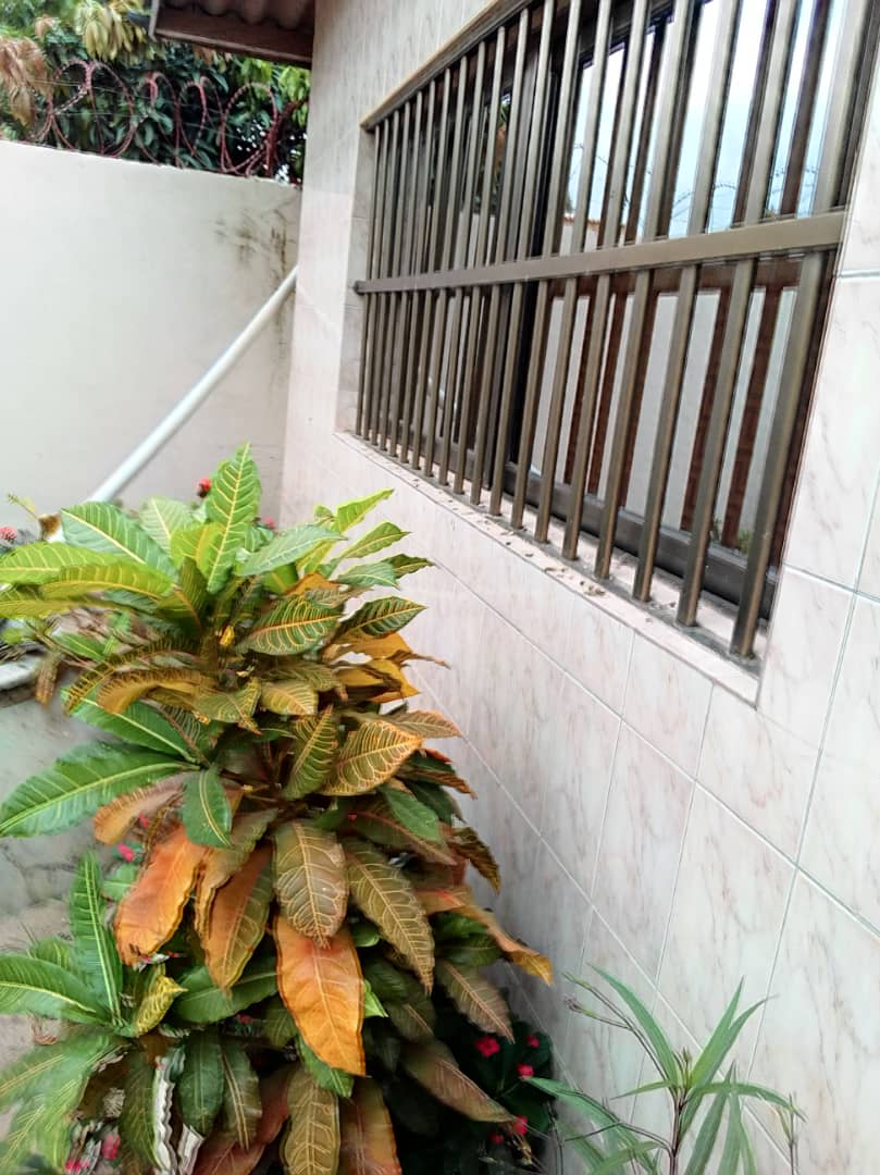N° 4294 :
                            Villa à louer , Agoe, Lome, Togo : 50 000 XOF/mois